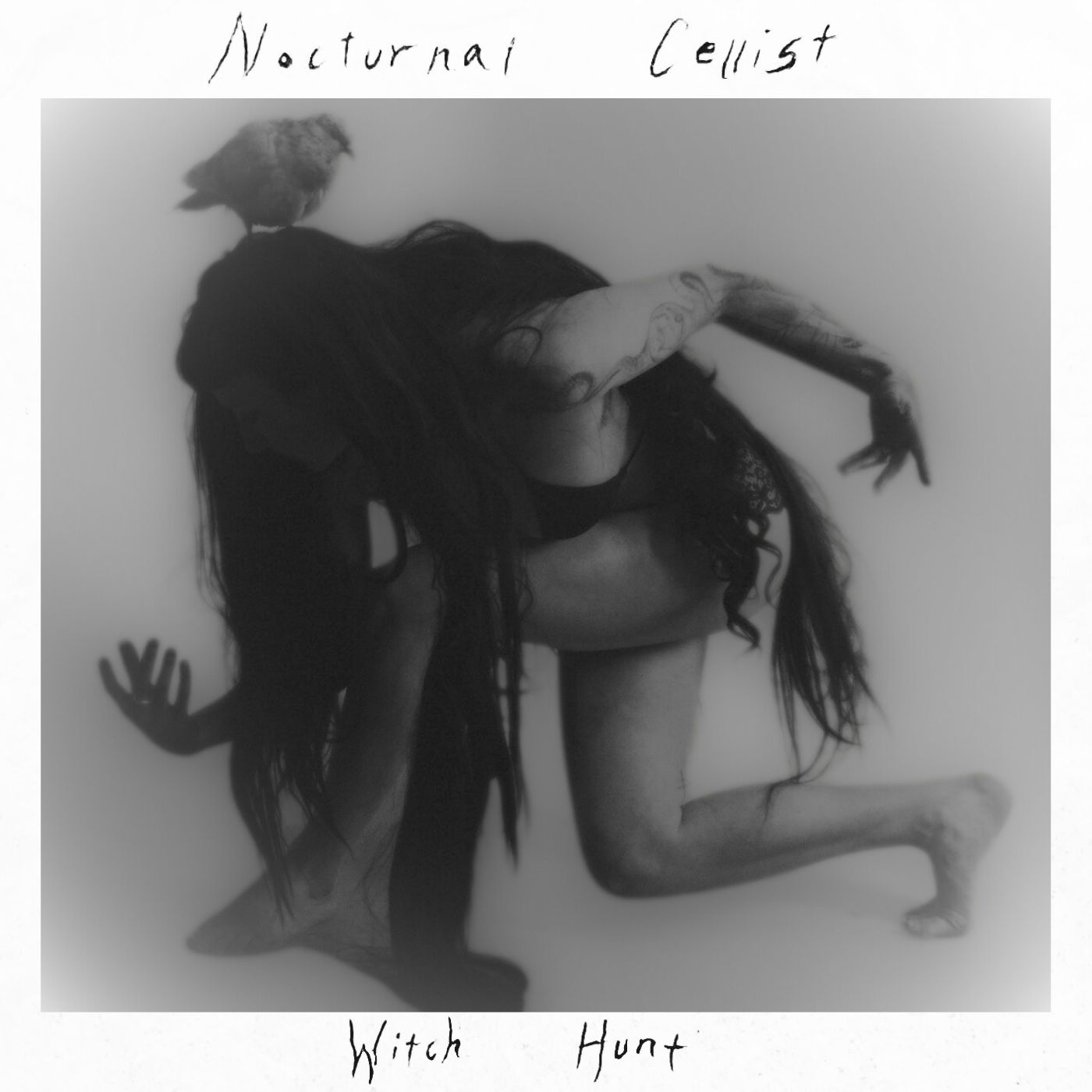 album